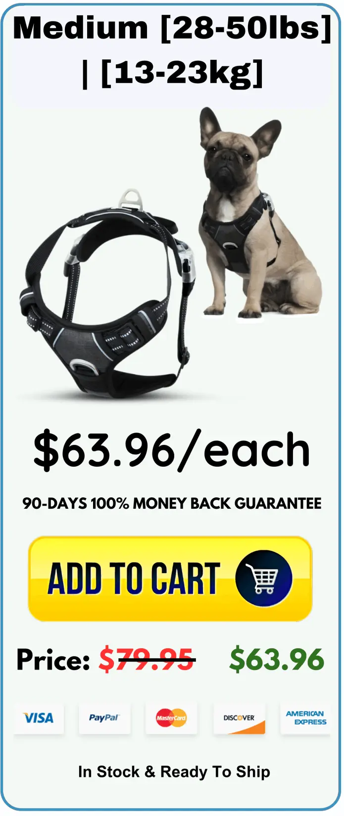  Pawsafe Harness offer price 